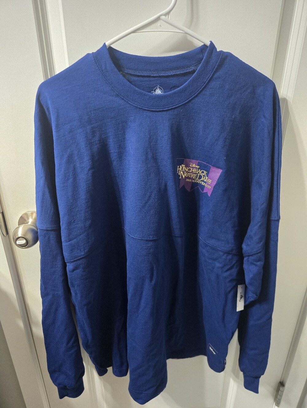 Disney 30th Hunchback Of Notre Dame Spirit Jersey